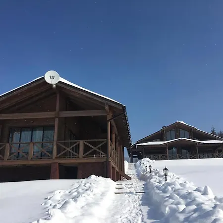 задільське * Dolzhki