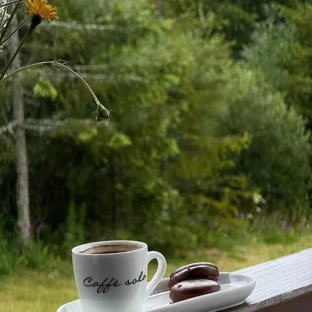 Chalet задільське