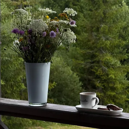 Chalet задільське Dolzhki