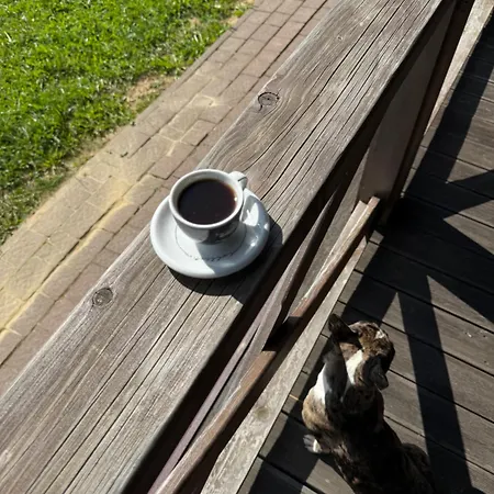 задільське 木屋 *