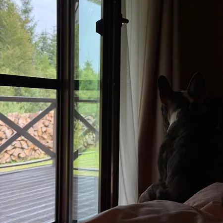 задільське *