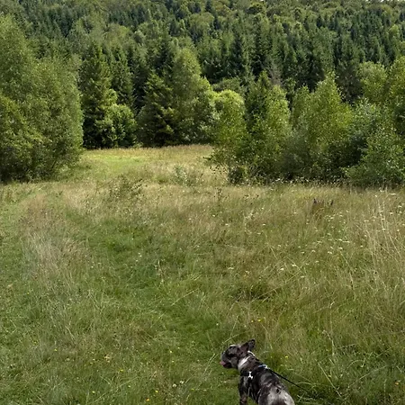 Chalet задільське