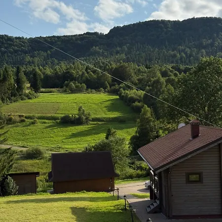 задільське 木屋 *