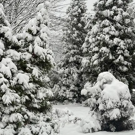 задільське Chalet *