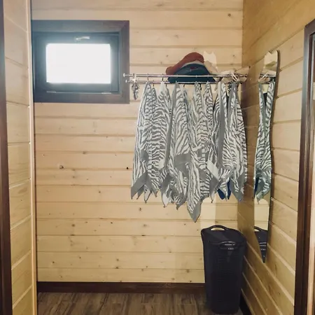 задільське * Dolzhki