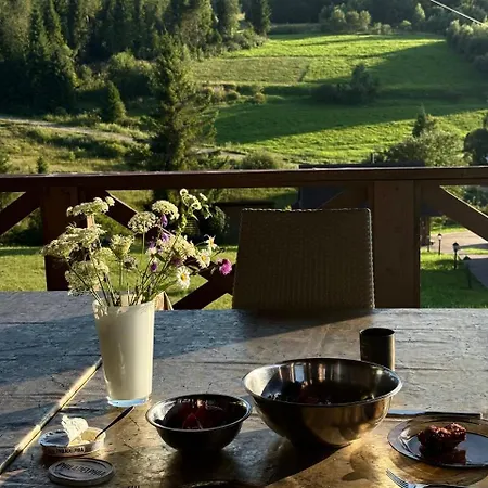 задільське Chalet *