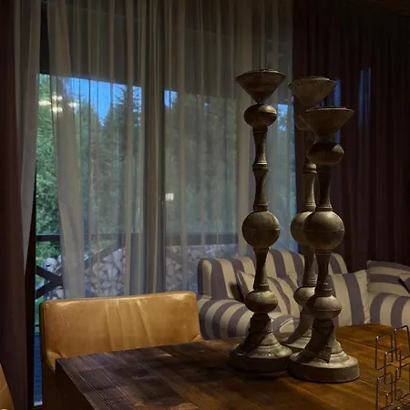 задільське Chalet *