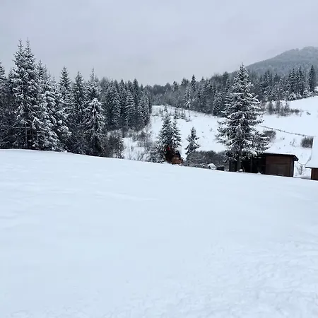 задільське Chalet *