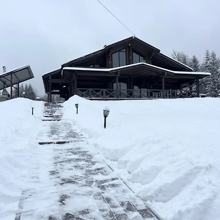 задільське Chalet *