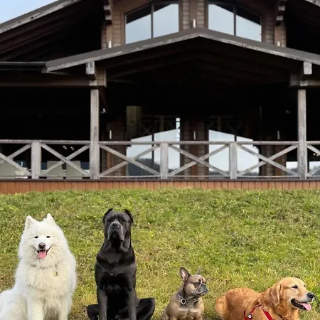 задільське Chalet