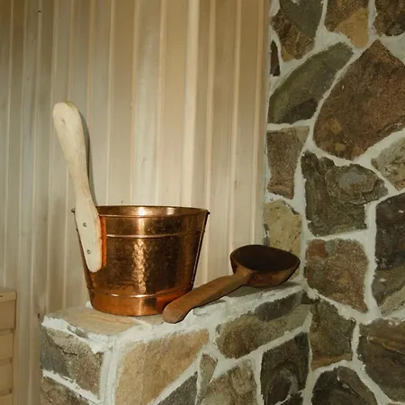 задільське Chalet Dolzhki