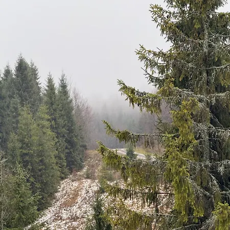 Chalet задільське