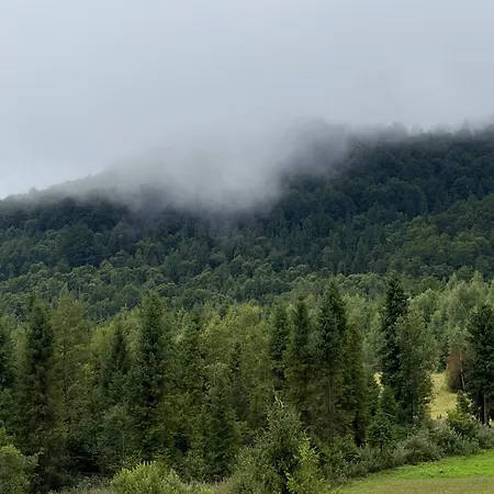 Chalet задільське